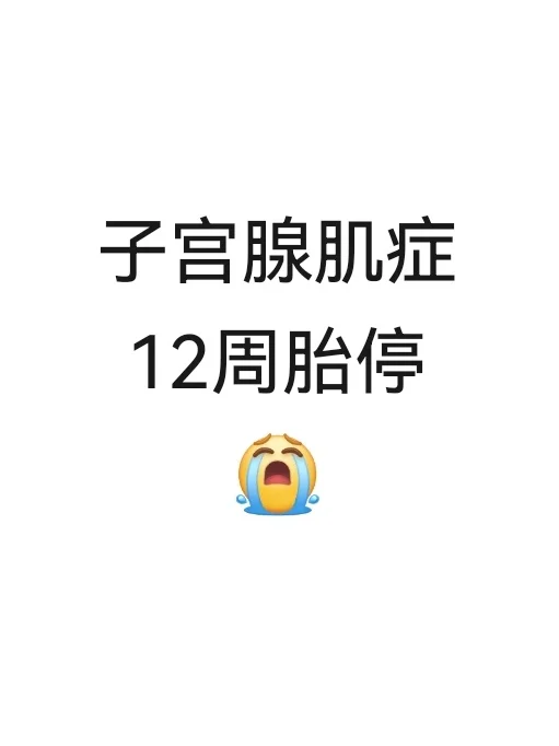 子宫腺肌症好不容易怀孕😭,借卵做试管代孕&国内供卵中介费用