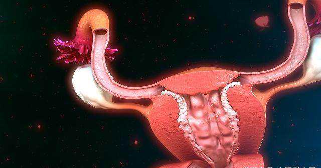 供卵代怀网: 医院发布三代试管婴儿就医指南
