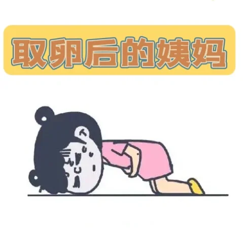 探秘取卵后初次月经：为何似撤退性出血？